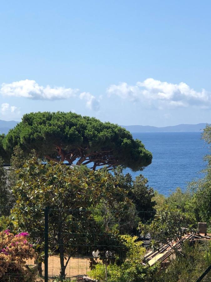 Très Belle Vue Mer, A Qq Pas Des Plages Route Des Sanguinaires Ajaccio (Corsica)