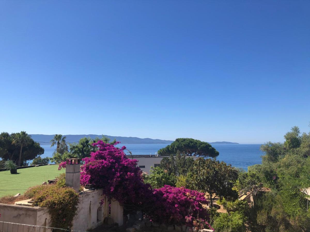 Très Belle Vue Mer, A Qq Pas Des Plages Route Des Sanguinaires * Ajaccio (Corsica)