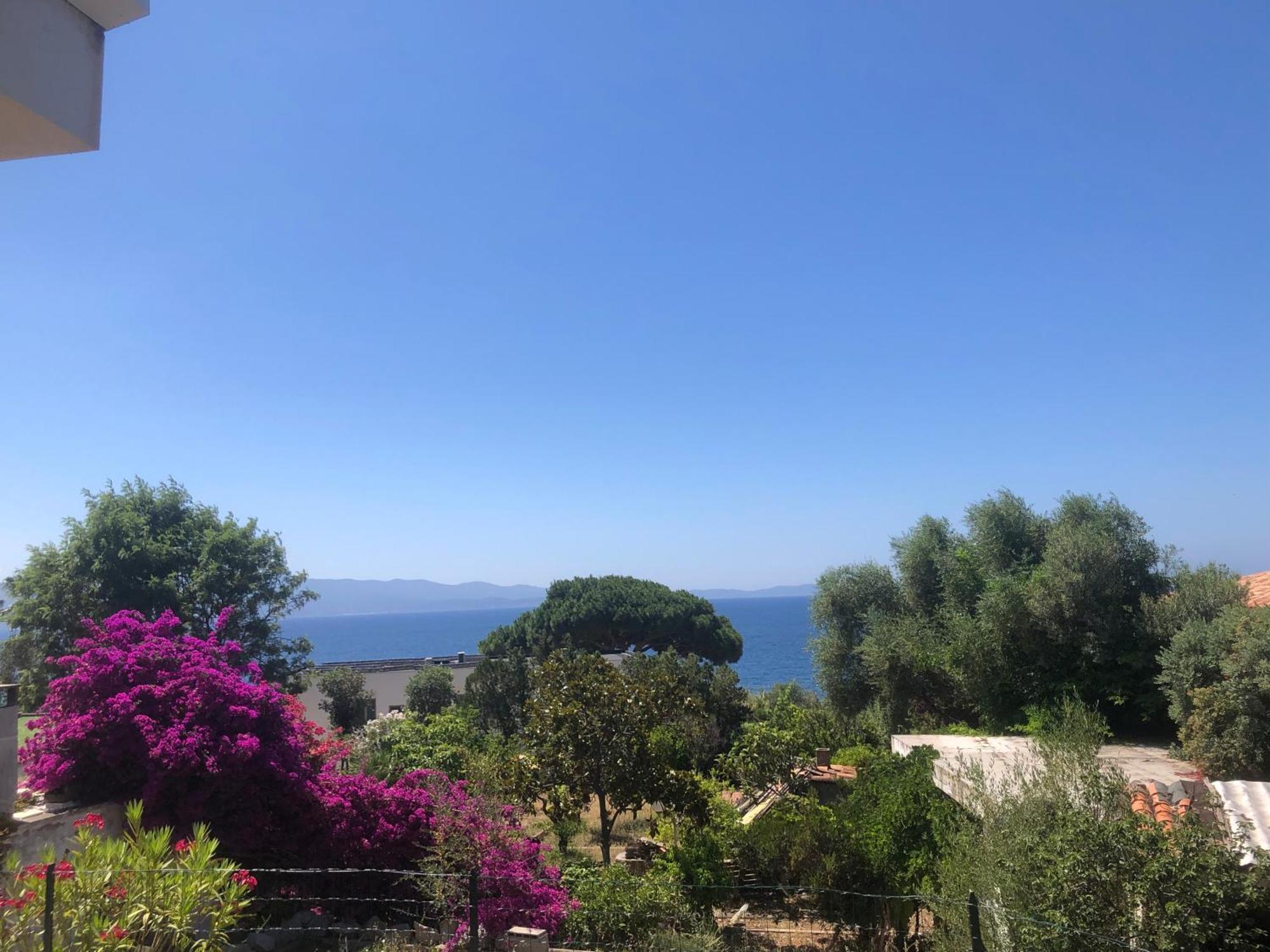 Ajaccio 4 Couchages, Climatise A 150m De La Route Des Sanguinaires, Parking Prive Apartamento