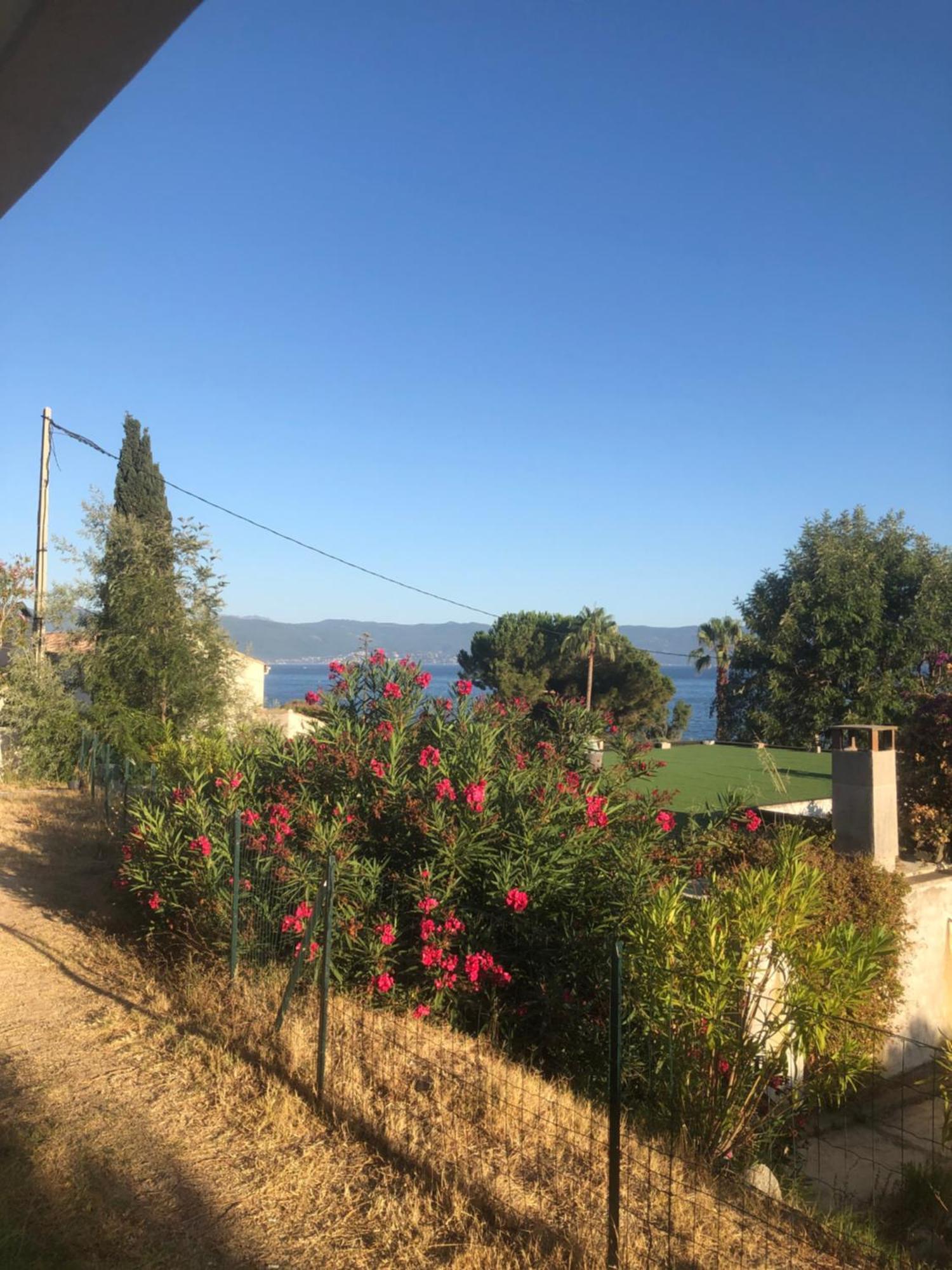 Ajaccio 4 Couchages, Climatise A 150m De La Route Des Sanguinaires, Parking Prive *