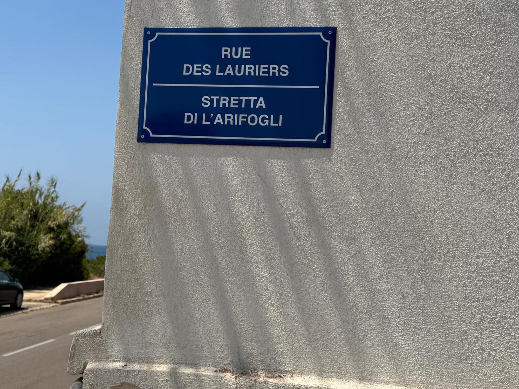 Très Belle Vue Mer, A Qq Pas Des Plages Route Des Sanguinaires Appartement *